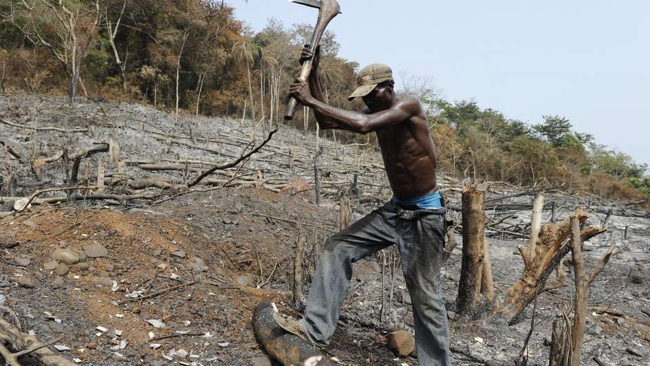 Land grabbing: In Sierra Leone, most land deals are carried out without any serious participation of the local population