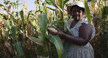 Lucy Marimirofa, a 53-year-old farmer in a cornfield