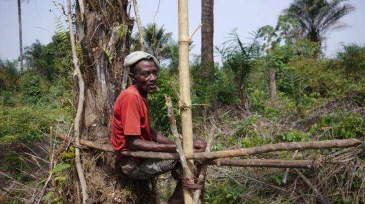Small farmers in Sierra Leone affected by land grapping. 