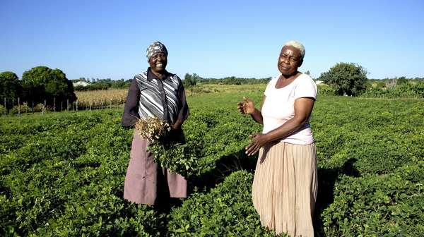 Kleinbauern unterstützen den regionalen Handel