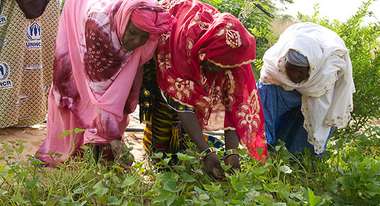 Frauen bei der Gartenarbeit im Peace Garden nahe Timbuktu, Mali.