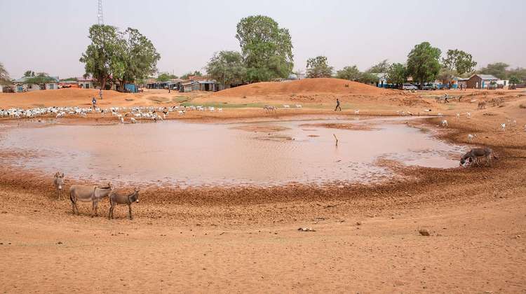 Wassertränke in der Nähe eines Dorfs in Somaliland
