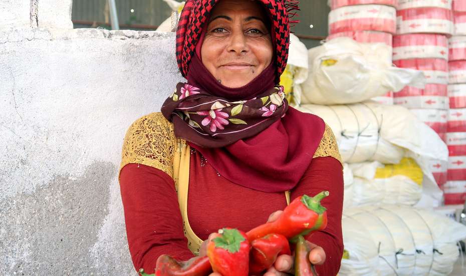 Nachhaltige Landwirtschaft in der Türkei. Eine Frau hält rote Paprika hoch. 