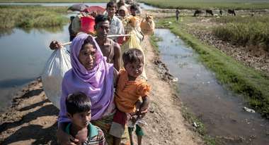 Rohingya refugees crossing the border from Myanmar to Bangladesh
