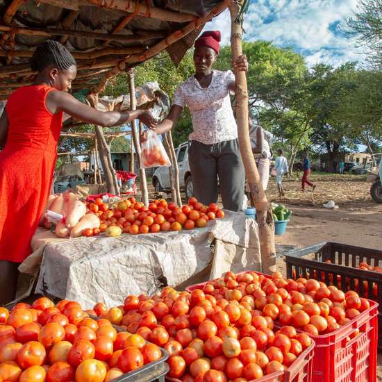 Menschen auf einem Marktstand in Simbabwe, die durch den Anstieg der Lebensmittelpreise nur noch das Nötigste kaufen können.