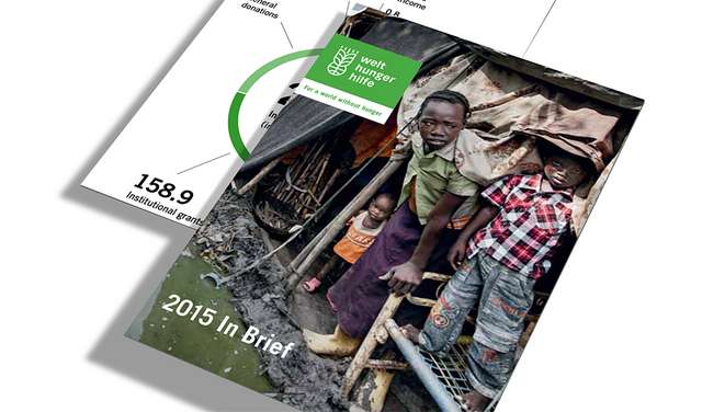 2015 organization annual report in brief en