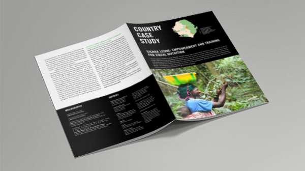 Cover: Country Case Study 2017 - Sierra Leone