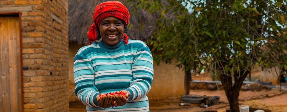 Frau aus Simbabwe präsentiert ihre geernteten Chilis