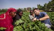 Matthias Mogge und malische Kleinbäuerinnen begutachten Pflanzen in einem Feld