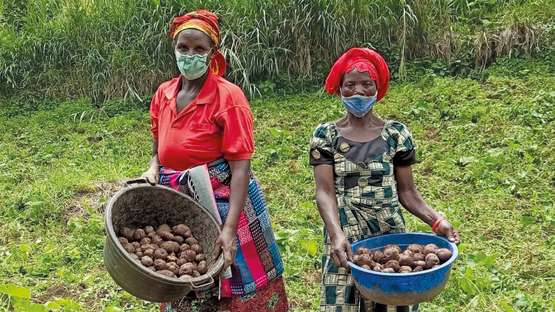 Zwei Frauen stehen mit ihrer Ernte auf dem Kartoffelfeld, Kongo 2021.