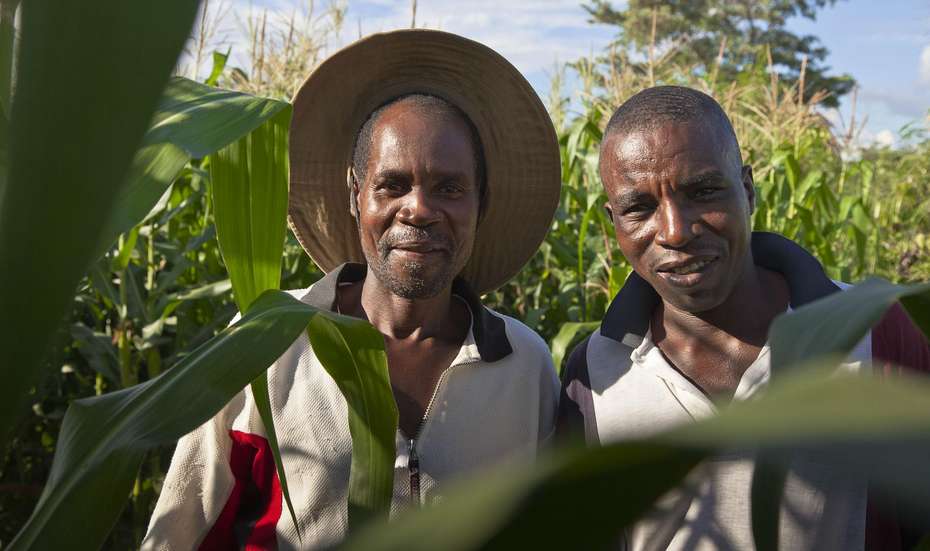 Simbabwe: Die Bauern Moyo (links) und Dumisani Mpofu (rechts)