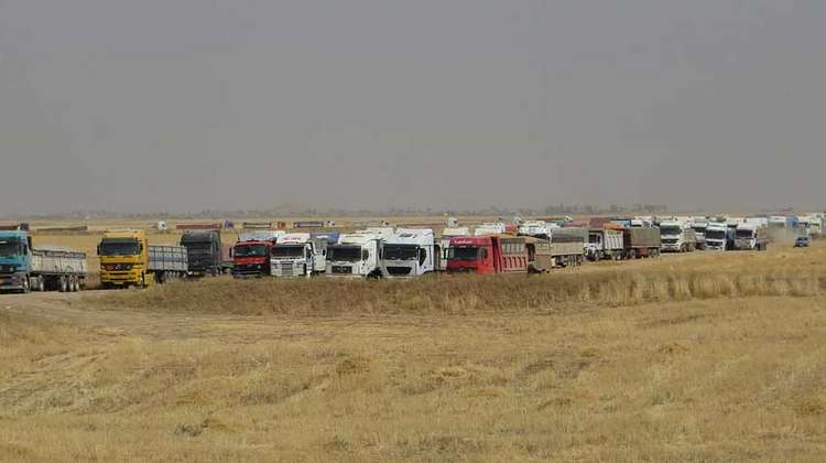 Hunderte Lastwagen stehen voll beladen neben den Feldern