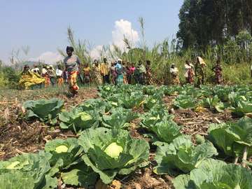 Die Welthungerhilfe schult Frauen im Gemüseanbau. Ihre Ernten verkaufen sie dann auf den lokalen Märkten. © Welthungerhilfe