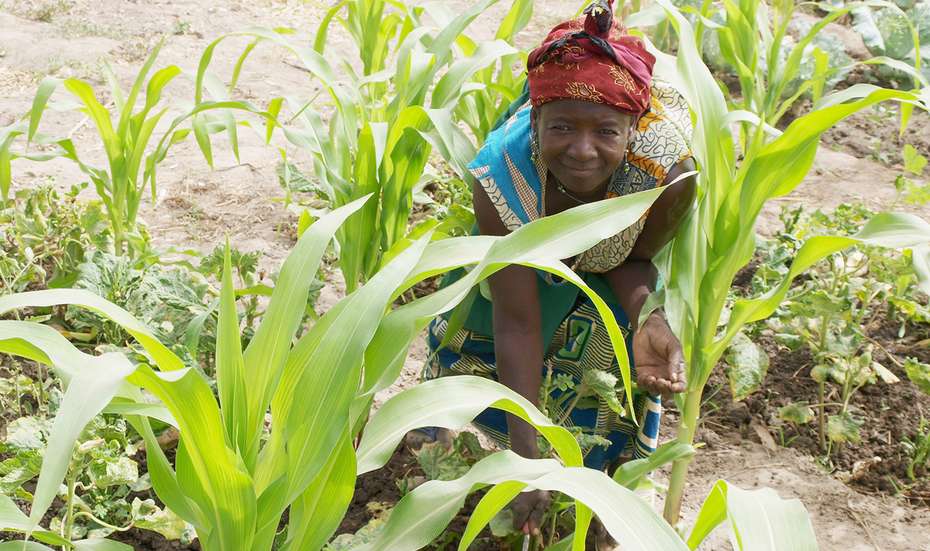 Hilfe für Kleinbauern in Burkina Faso. Bildbeschreibung: Eine Kleinbäuerin arbeitet auf dem Feld.