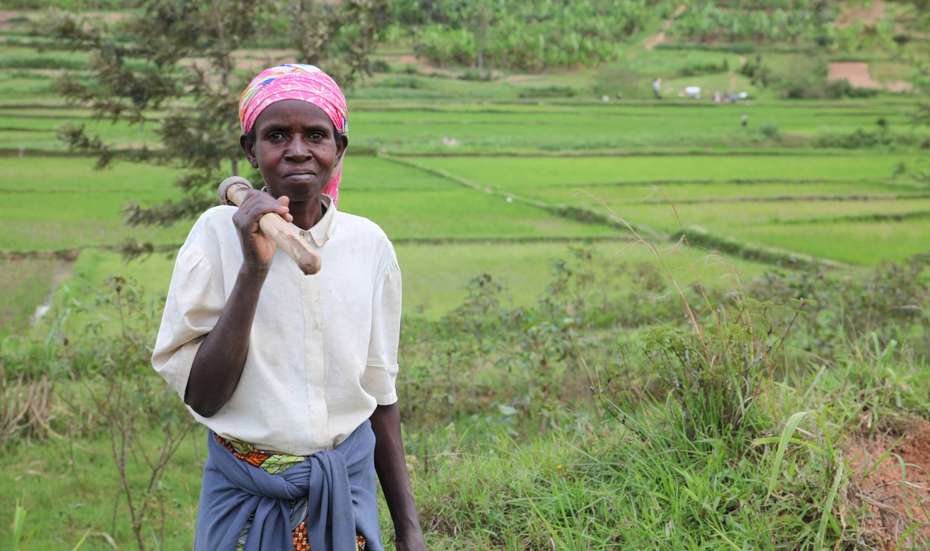 Eine Bäuerin steht vor Mais- und Reis-Feldern, Ruanda.