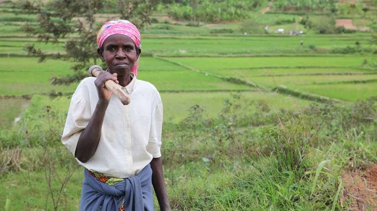 Eine Bäuerin steht vor Mais- und Reis-Feldern, Ruanda.