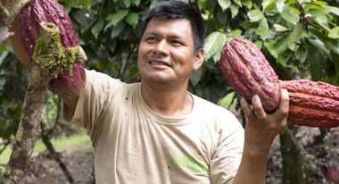Willy Miguel Sanchez steht bei der Kakaoernte in Peru unter einem Kakaobaum.