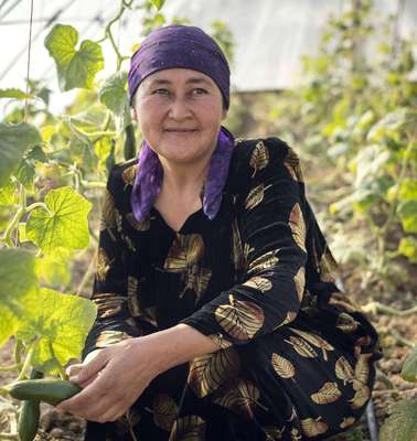 Eine Frau in einem Gewächshaus in Tadschikistan.