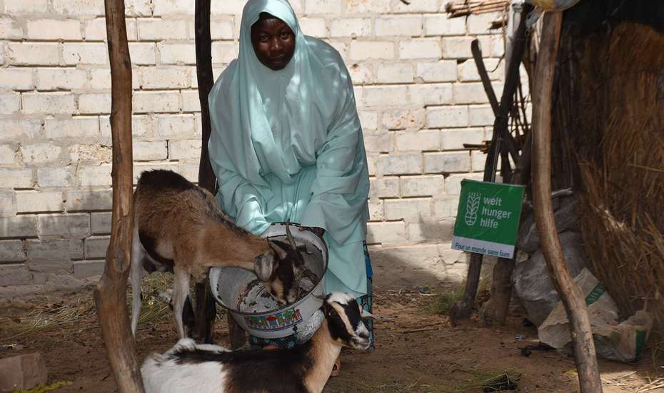 Eine Frau füttert ihre Ziegen, Niger 2021.