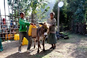 Zwei Kinder nutzen einen Esel, um Wasserkanister zu transportieren