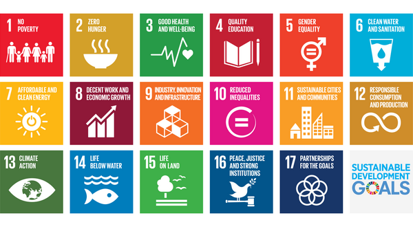 Information graphic: Sustainable Development Goals