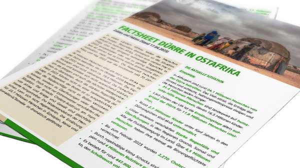 Cover der Publikation: Factsheet - Dürre in Ostafrika