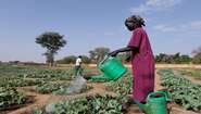 Eine Frau gießt ihre Pflanzen im Garten, Südsudan 2022.
