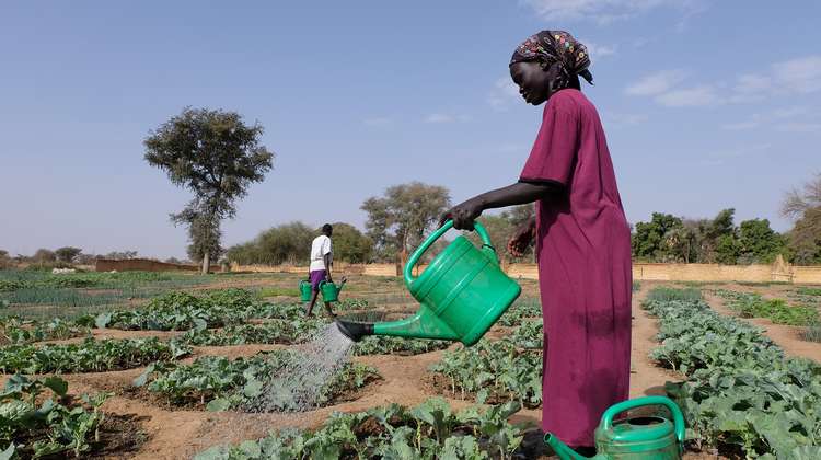 Eine Frau gießt ihre Pflanzen im Garten, Südsudan 2022.