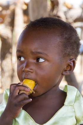 Ein Kind isst eine Süßkartoffel.