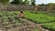 Eine Frau pflegt einen Schulgarten im Südsudan, 2022. 