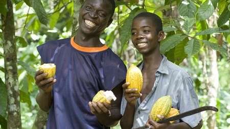 Zwei Kakaobauern präsentieren ihre Erzeugnisse.