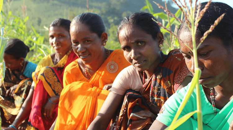 Fünf indische Bäuerinnen auf einem Feld.