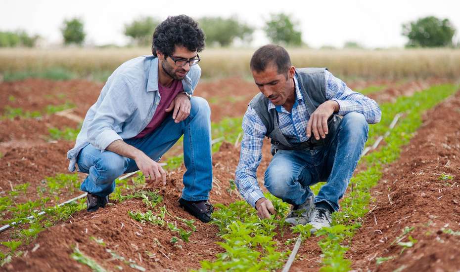 Zwei syrische Männer arbeiten auf ihrem Feld in der Türkei
