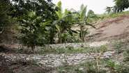 Erosionsschutz in Haiti: Aufnahme von Steinwälle, die die Böden sichern