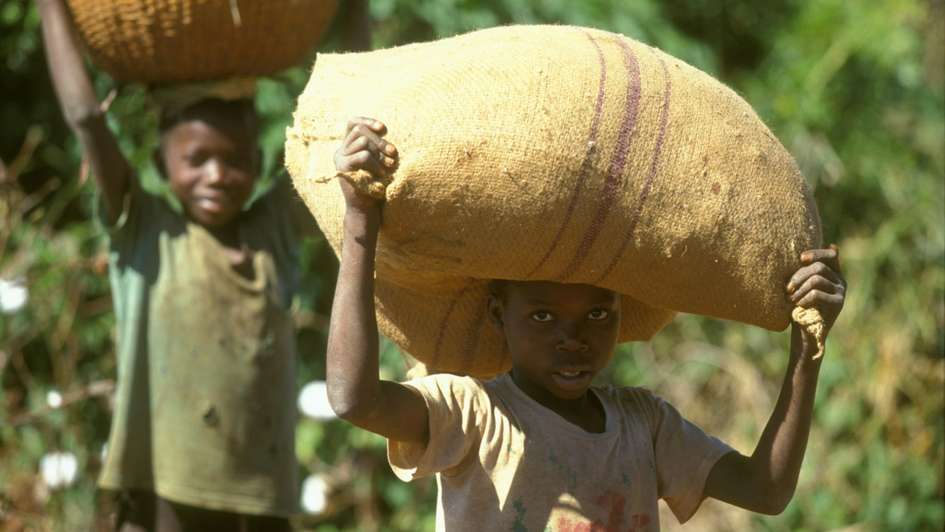 Zwei Kinderarbeiter tragen Säcke und Körbe mit geernteter Baumwolle auf dem Kopf, Mosambik.