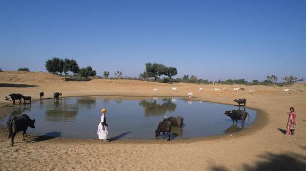 Wasserstelle in Rajasthan