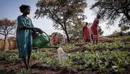Frauen im Südsudan bewässern ihre Gemüsebeete