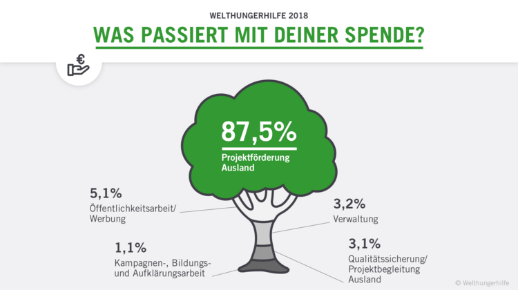 Grafik: Was passiert mit Deiner Spende? 87,5% der Spenden fließen direkt in die Projektförderung im Ausland. 