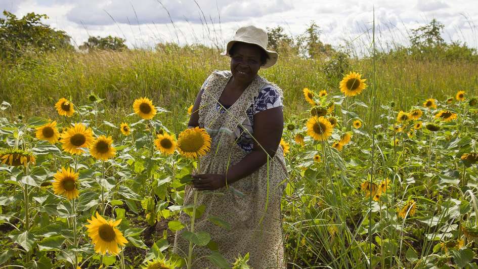 Lucy Marimirofa auf ihren Feldern im Westen Simbabwes