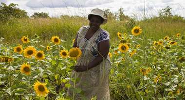 Lucy Marimirofa auf ihren Feldern im Westen Simbabwes