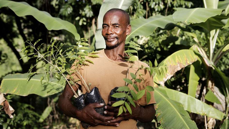 Klimaresilienz: Ein Mann hält Baumsetzlinge in den Händen