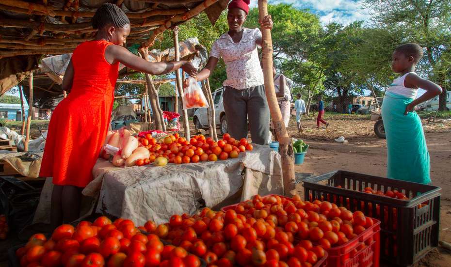 Eine Frau kauft Tomaten an einem Marktstand in Simbabwe. 