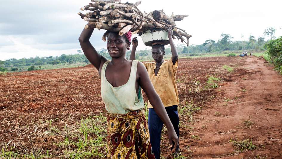 Kleinbauern bei der Arbeit auf dem Feld in der Zentralafrikanischen Republik