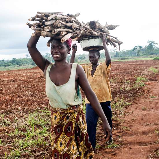 Kleinbauern bei der Arbeit auf dem Feld in der Zentralafrikanischen Republik
