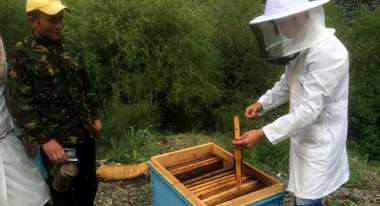 Ein Imker bei der Honigproduktion