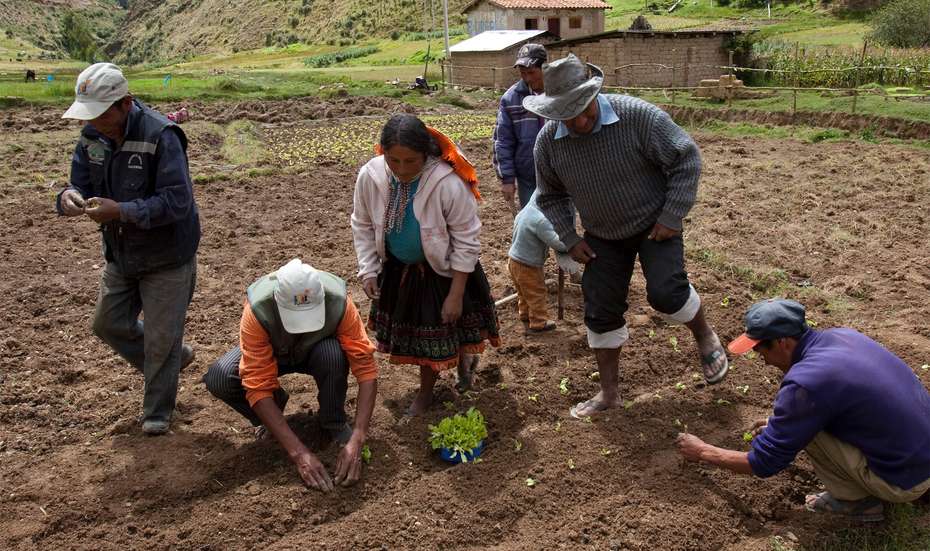 Bauern und Bäuerinnen bei der Aussaat in Peru und Bolivien. 