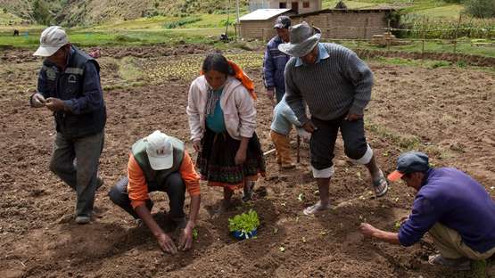 Bauern und Bäuerinnen bei der Aussaat in Peru und Bolivien. 