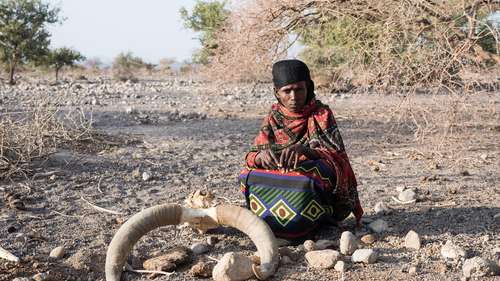 Eine Nomadin der Afar sitzt neben einem Kuhskelett. Die Dürre hat alles Wasser vertrocknen lassen.
