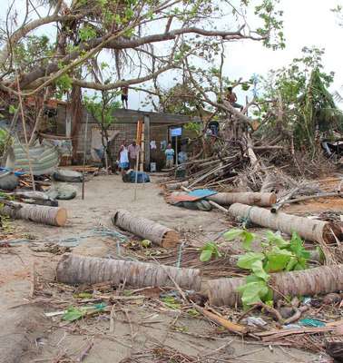 Umgestürzte Bäume und zerstörte Häuser.