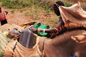 Eine Frau bringt Wasserkanister mit ihrem Esel zum nächsten Bohrloch